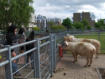 Ook dit is mogelijk in mijn buurt