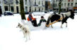 Huygenspark met arreslee